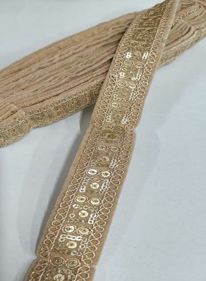 1 inch Wide Velvet Fabric Saree Border, Indian Lace Trim by The Roll Embroidered Ribbon Sari Fabric Trim, Indian Lehenga Skirt, Sari Border 9 Meter (Gold)